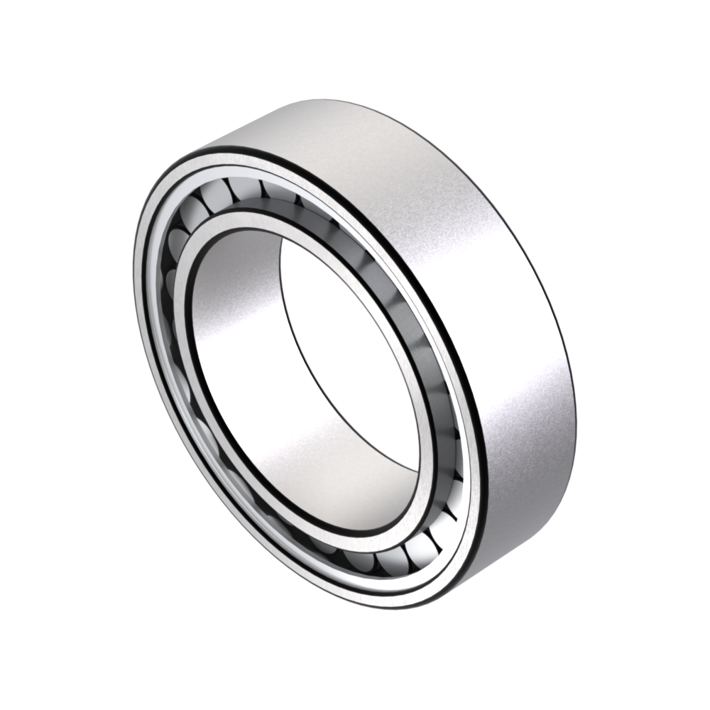 Roulements à rouleaux cylindriques SL 182205 PP 2
