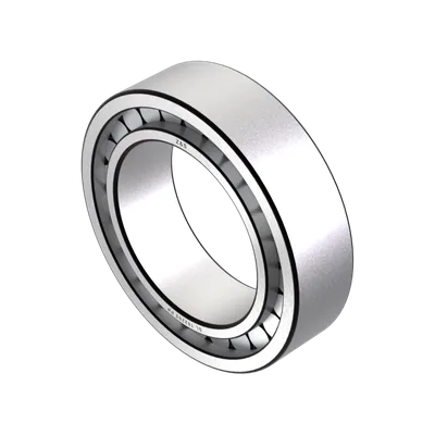 Roulements à rouleaux cylindriques SL 182205 PP